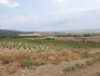 Продавам 30 дка земеделска земя в с.Вълчин | Земеделска Земя  - Бургас - image 2