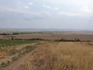 Продавам 30 дка земеделска земя в с.Вълчин | Земеделска Земя  - Бургас - image 3