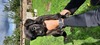 Продават се кученца Кане Корсо ,чистокръвни | Кучета  - Пазарджик - image 1