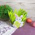 2735 Великденски панер за яйца Зайче в градинка | Дом и Градина  - Добрич - image 4