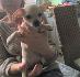 Мило, женско кученце търси грижовни стопани, на 2 месеца | Кучета  - Пловдив - image 3