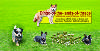 Продава кученца Australian Cattle Dog | Кучета  - Хасково - image 0