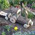 2879 Голямо декоративно дървено влакче декорация за градинат | Дом и Градина  - Добрич - image 9