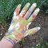 2872 Универсални дамски работни ръкавици цветни | Дом и Градина  - Добрич - image 1