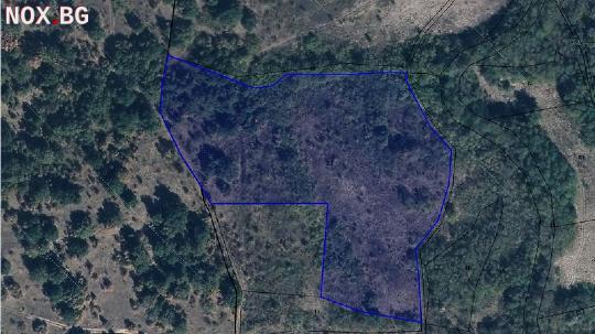 Продавам 25,651 дка земя в землището на гр. Брезово | Земеделска Земя | Пловдив