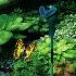 364 Градинска соларна летяща пеперуда декорация за градина б | Дом и Градина  - Добрич - image 8