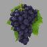 Продавам грозде – винени сортове – Памид, Каберне совиньон | Храни, Напитки  - Пазарджик - image 9