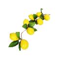 3130 Връзка изкуствени лимони за декорация-Дом и Градина