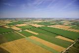 Купувам земеделска земя всички землища област  Разград-Земеделска Земя