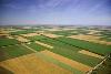 Купувам земеделска земя всички землища област  Разград | Земеделска Земя  - София-град - image 0