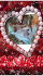Персийски бебета дългокосмести хималайски колорпойнт сини очи разкошни любимци! | Котки  - София-град - image 7