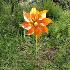 4750 Градинска вятърна въртележка с отразяващи неонови цвето | Дом и Градина  - Добрич - image 0