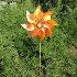 4750 Градинска вятърна въртележка с отразяващи неонови цвето | Дом и Градина  - Добрич - image 2