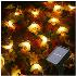 5019 Декоративни соларни лампички Пчелички, 20 светодиода | Дом и Градина  - Добрич - image 6