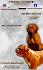 Dogue de Bordeaux – кученца | Кучета  - София-град - image 0