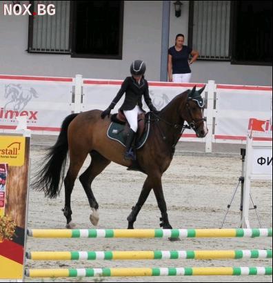 Спортна кобила | Коне | София-град