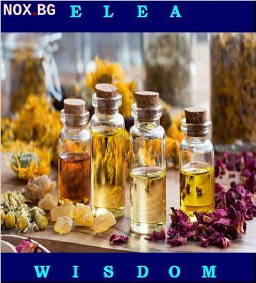 Производство на козметика под ваша марка | Други | София-град