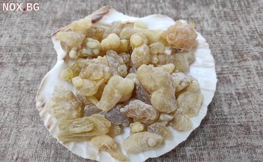 Бял Тамян донесен от ОМАН 100% натурален !!! | Други | Пловдив