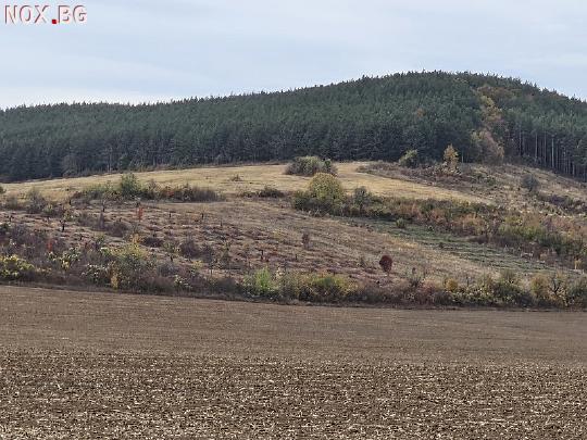 Продавам 11,299 дка земя в землището на с. Имренчево | Земеделска Земя | Шумен
